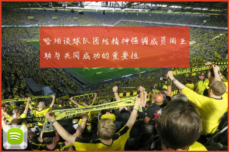哈珀谈球队团结精神强调成员间互助与共同成功的重要性